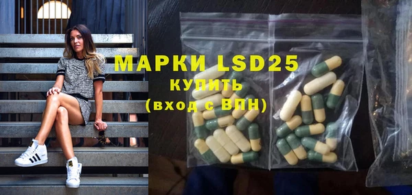 ГАЛЛЮЦИНОГЕННЫЕ ГРИБЫ Михайлов